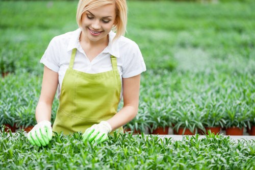 A young woman with short blonde hair wearing a white shirt, a light green apron, and gardening gloves is tending to a lush, green garden bed filled with healthy, dense foliage. The garden features a well-maintained lawn area with vibrant, evenly trimmed grass in the background, along with neatly arranged flower beds bordered by low edging. She appears to be inspecting or tending to the plants, which are growing in a protected outdoor space, likely part of a landscaped backyard or community garden associated with a residential area in Dulwich, South London. The scene is set outdoors on a bright day, with natural sunlight illuminating the textured leaves and creating soft shadows, reflecting professional gardening and landscaping standards. This image exemplifies routine lawn care and plant maintenance typical of services offered by Gardening Services Dulwich, emphasizing the neatness, variety, and health of the garden environment.